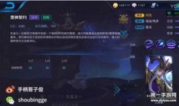 王者大爆料二哥视频,揭秘游戏幕后精彩瞬间